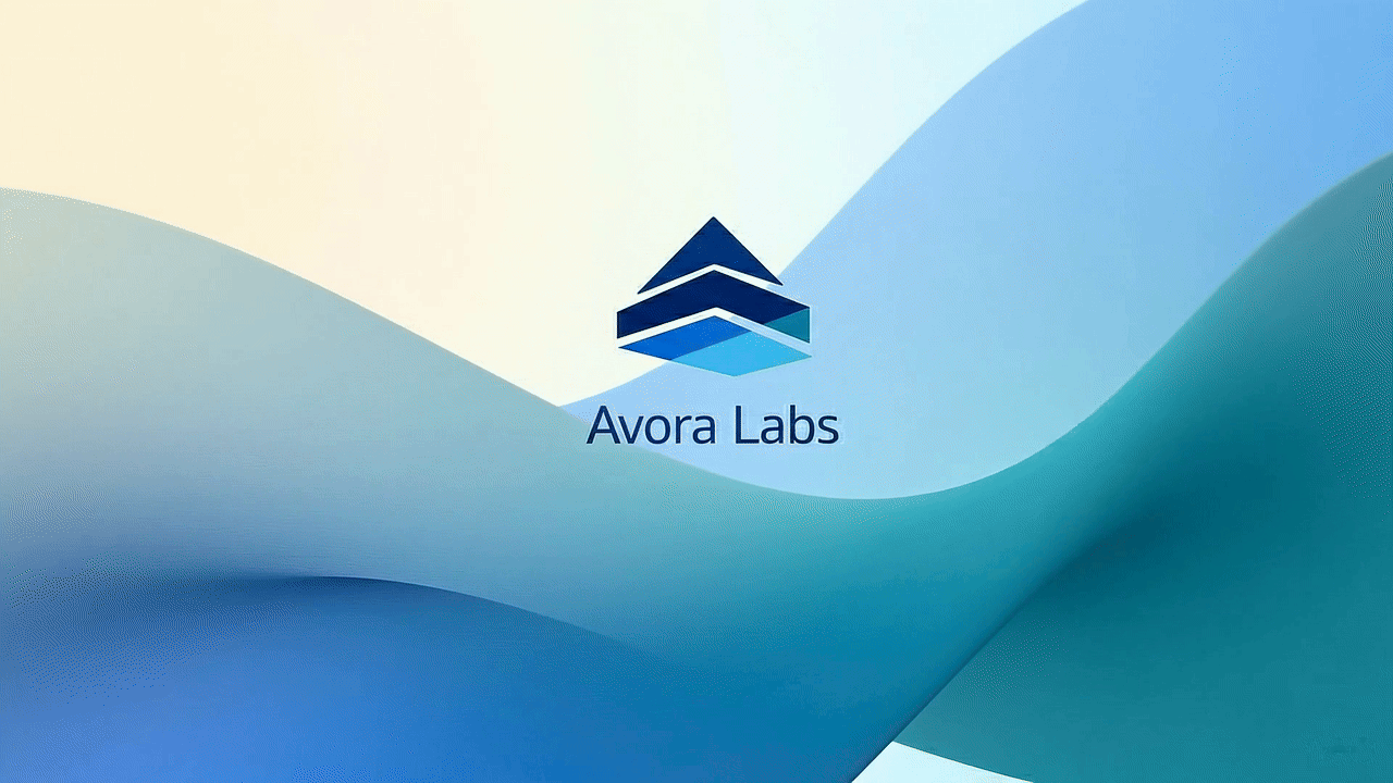 Avora Labs - A digital agency by Anugrah James